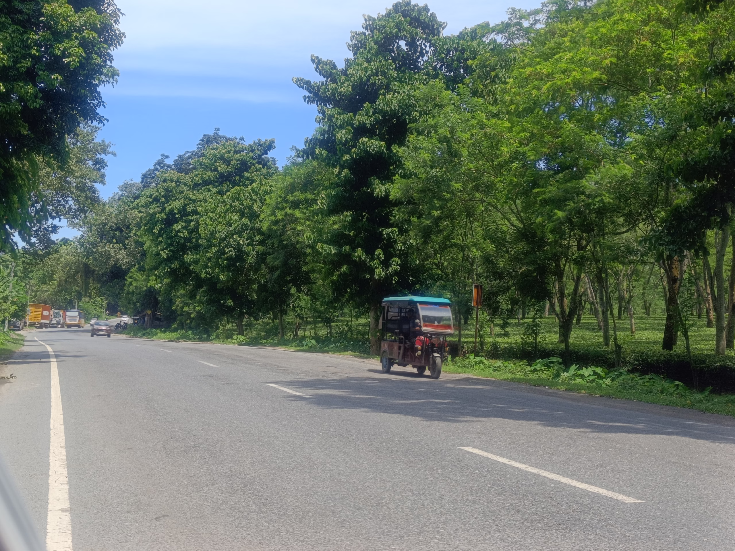 A tea garden on the road to Kaziranga from Maha Mrityunjay Temple